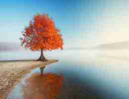 自‌动​内‍容​聚​合﻿插﻿件﻿